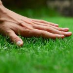 Close-up of a hand on grass texture, emphasizing nature and A-Plus Air Conditioning’s services.