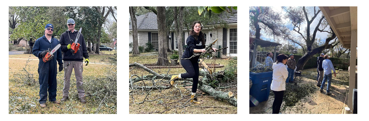 Tree Limb Clean Up Project
